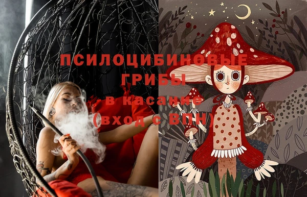 винт Дмитриев