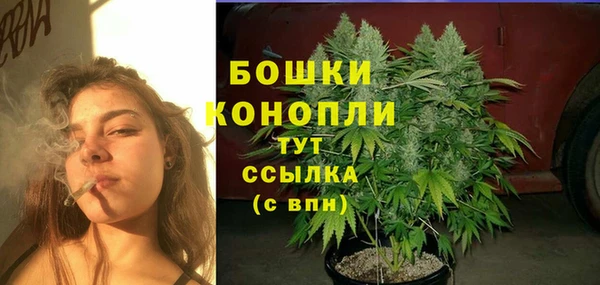 твердый Гусь-Хрустальный