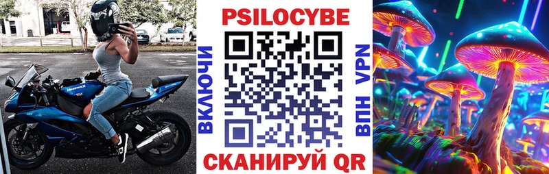 Псилоцибиновые грибы Cubensis  Купить закладки  Котельнич 