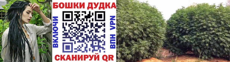 Купить  Котельнич  Шишки марихуана Ganja 